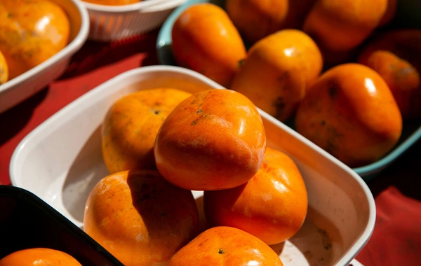 Врач назвала продукты-рекордсмены по уровню содержания железа