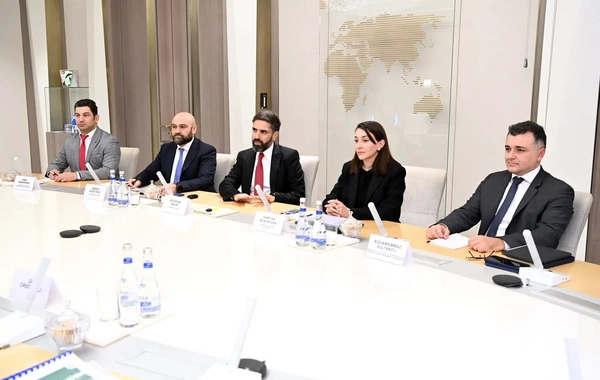 SOCAR və BP üçüncü ölkələrdə layihələrdə birgə iştirakı nəzərdən keçirib