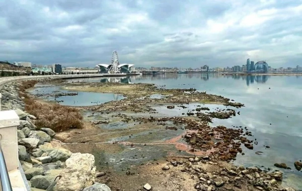 Bulvar dənizdən 30 kilometr aralı qala bilər