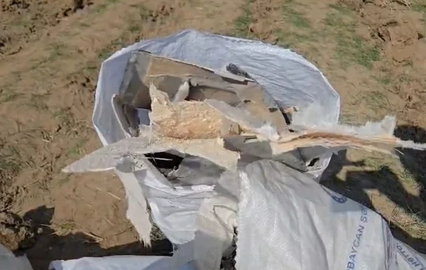 Pro-Iranian forces are trying to distort reality: Baku TV issued a statement