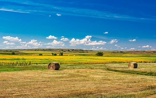 В Азербайджане наступило лето
