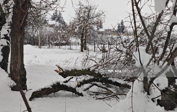 Cəlilabadda qarlı hava yol qəzalarına səbəb olub
