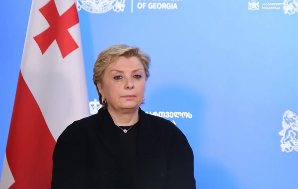 Gürcüstanın mədəniyyət naziri istefa verib
