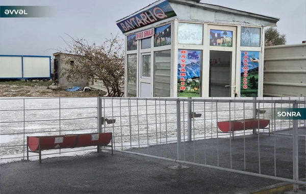 Kürdəmirdə heyvan bazarı yenidən açılıb