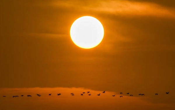 На Солнце обнаружили дыру жутких размеров: чем она опасна