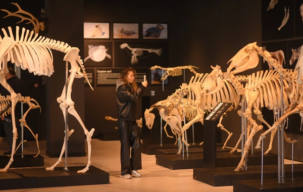 DTA tabeliyindəki qoruq və müəssisələrdəki yeniliklər təqdim olunub DTA tabeliyindəki qoruq və müəssisələrdəki yeniliklər təqdim olunub