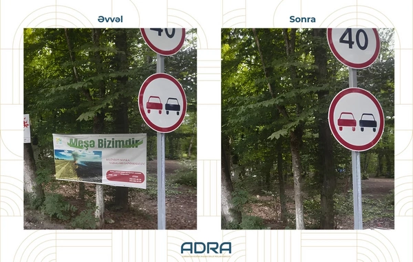 Ağaclara qanunsuz yerləşdirilən 267 reklam qurğusu söküldü