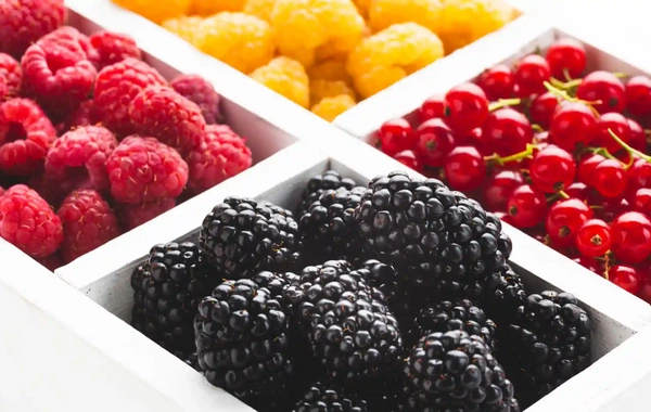 Listed blood vessel strengthening berries