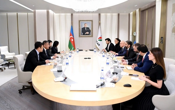 SOCAR рассмотрела создание совместных предприятий с китайской компанией