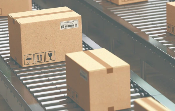 Hansı məhsulların ölkəyə gətirilməsi qadağandır?