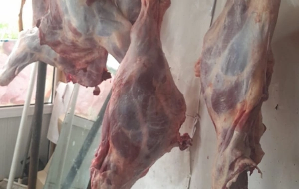 712 heyvan kəsimi və ət satışı mağazası cəzalandırılıb