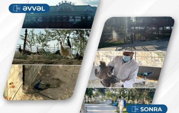 Qədir Xumdakı quşlarla bağlı tədbir görüldü
