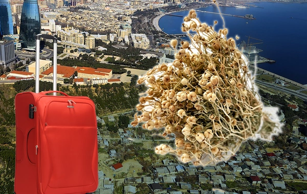 Xaricə gedən şəxslərə üzərlik XƏBƏRDARLIĞI - Saxlanıla bilərsiniz