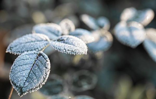 Завтра ожидается мороз до -20°C