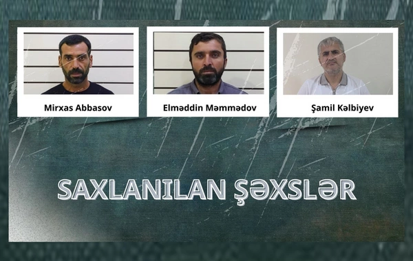 Lənkəranda narkotik tərkibli bitkilər yetişdirən şəxslər həbs edilib