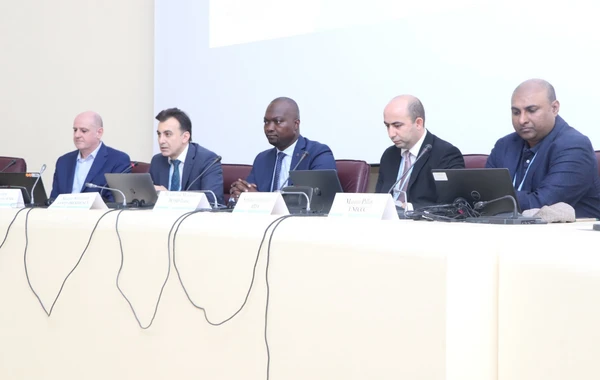 COP29 çərçivəsində Toqo və Keniyada seminarlar keçirilib