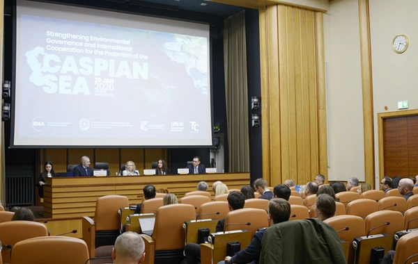 Лейла Алиева встретилась с генеральным директором Женевского офиса ООН