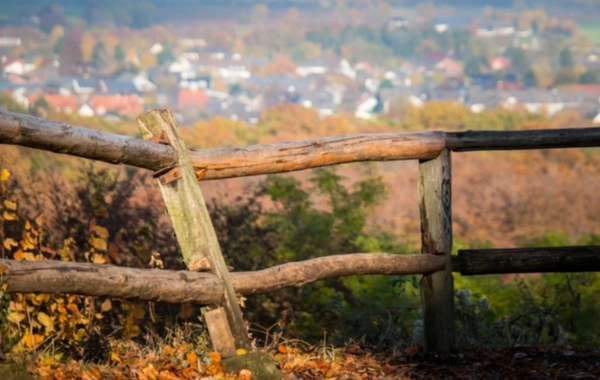 Bankda olan torpaq sahələri təcili satışa çıxarıldı - QİYMƏTLƏR