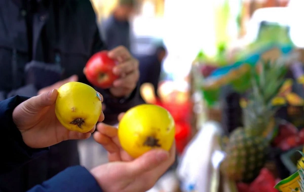 Xankəndidə "Kənddən Şəhərə" Novruz yarmarkası keçirilir