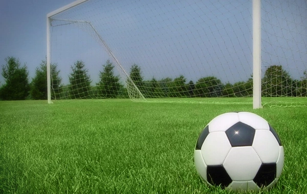 Rusiya böyük beynəlxalq futbol turnirinə ev sahibliyi etməyə hazır olduğunu bəyan edib