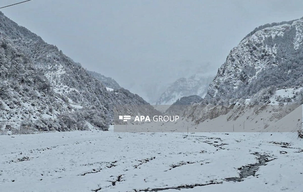 Güclü qar Qəbələnin dağlıq kəndlərinə gediş-gəlişi çətinləşdirib