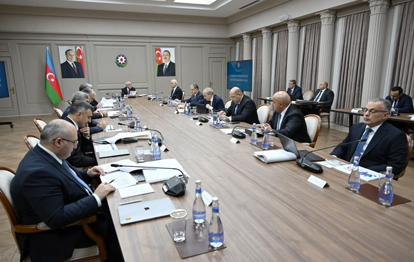 İqtisadi Şuranın növbəti iclası keçirilib