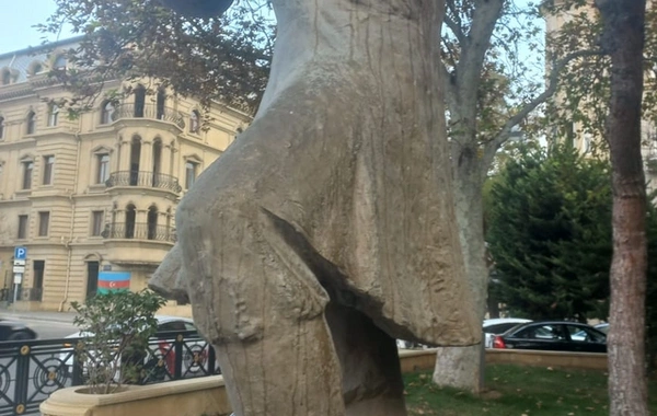 Aşıq Ələsgərin nəticəsi: "Babamın heykəli nəzarətsiz qalıb, baxan yoxdur"