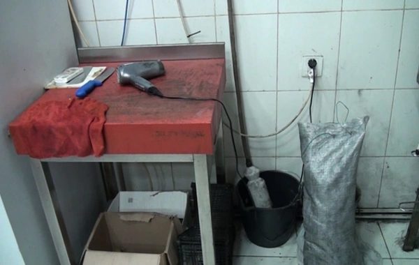 Bakıda gecə əyləncə klubunun fəaliyyəti dayandırılıb