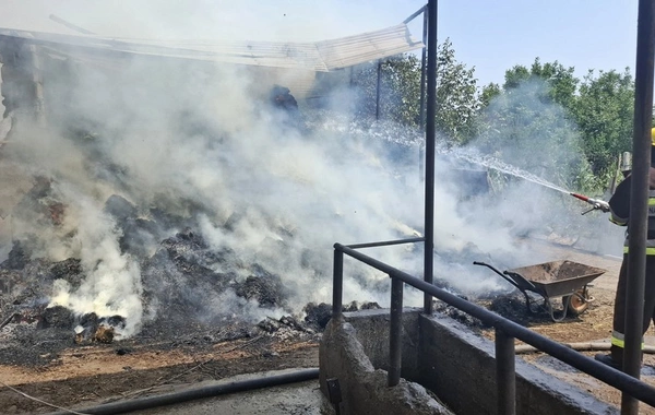 Şərurda 16.5 ton ot bağlaması yanıb