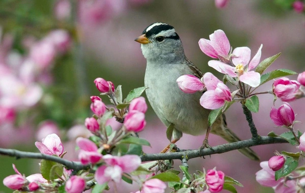 Обнародован прогноз погоды на март