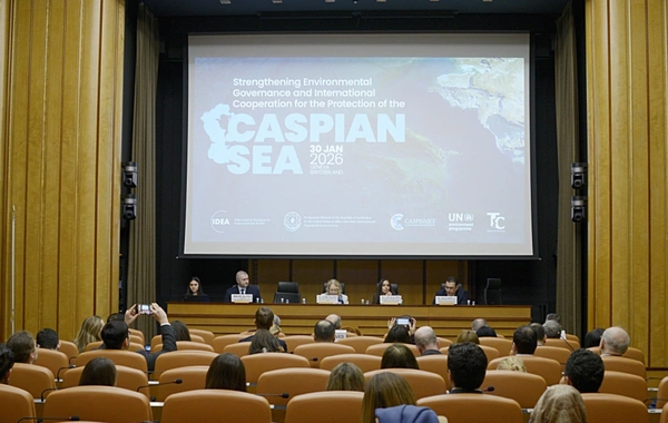 Лейла Алиева встретилась с генеральным директором Женевского офиса ООН