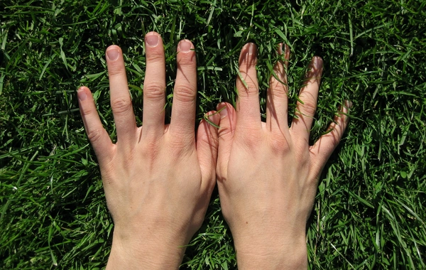 Scientists stunned by the solution to the mystery of the origin of fingers in humans