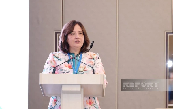 Fatma Varank: İqlim maliyyələşdirilməsinə qlobal ehtiyac ildə 7,5-9 trilyon dollar təşkil edir