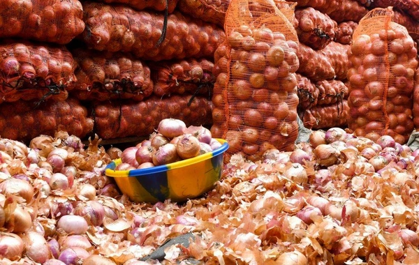 Hər il yaxşı məhsul olurdu, amma indi satış yoxdur - Tovuzlu fermerlərdən ŞİKAYƏT