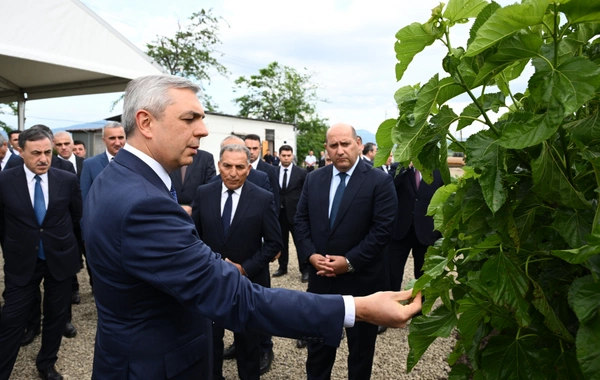 Xocalının Daşbulaq kəndində baramaçılığın inkişafı üçün yaradılmış infrastruktura baxış keçirilib