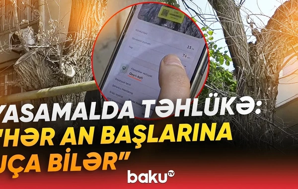 Yasamal sakinləri qorxu içində: Dəhşət saçan problemi kim həll etməlidir?