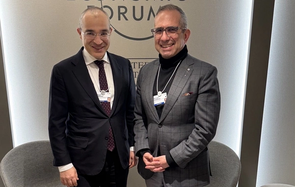 Mikayıl Cabbarov İsveçrədə Coca-Cola şirkətinin rəsmisi ilə görüşüb