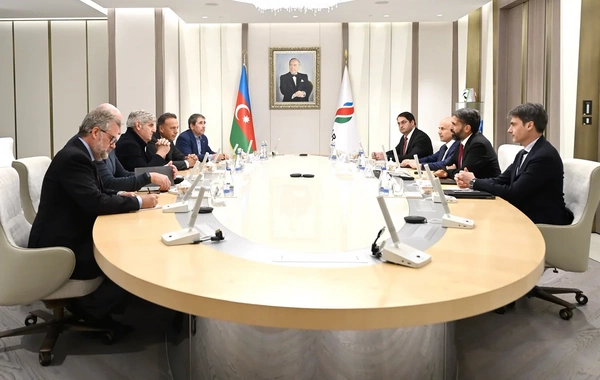 Azerbaijan and Italy discussed new opportunities for cooperation in the energy sector