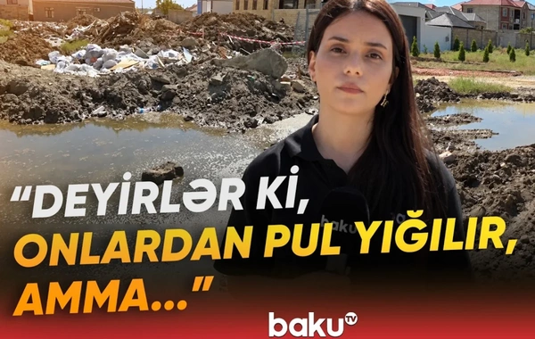 Su gölməçəsi, zibil qalaqları, üfunət: Mehdiabadda antisanitar mənzərə