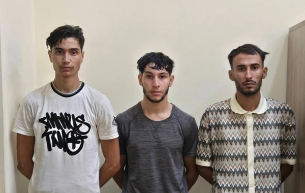 Dövlət sərhədini pozmağa cəhd göstərən dörd xarici vətəndaş saxlanılıb