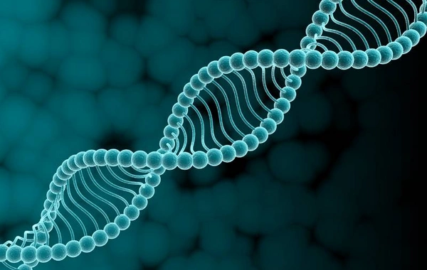 Süni İntellekt həyat kodeksini sındırdı
