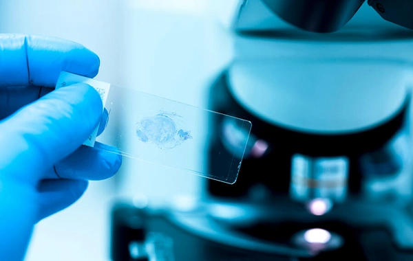 Найдена новая возможная причина старения клеток