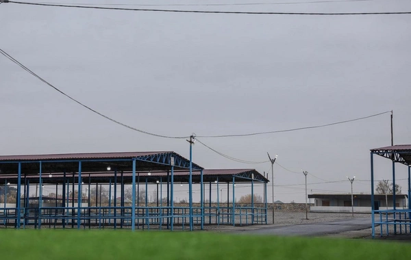 AQTA: Bərdə heyvan bazarı yaxın günlərdə fəaliyyətə başlayacaq