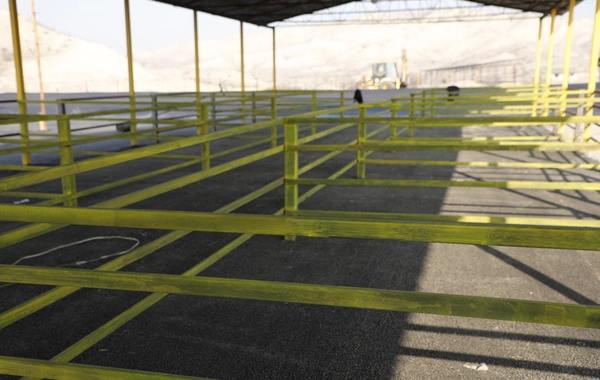 Daha bir rayonda heyvan satışı bazarı yaxın günlərdə açılacaq - RƏSMİ