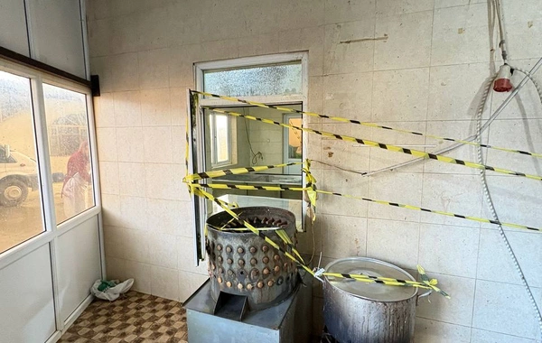 Lənkəranda toyuq kəsimi sexinin qanunsuz fəaliyyəti aşkarlandı