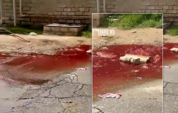 Kanalizasiya xəttinə heyvan qalıqları atılır - Qanlı su küçəyə axır