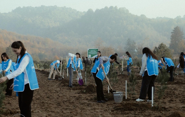 Leyla Əliyeva, Arzu Əliyeva və Alena Əliyeva Lənkəranda ekoloji aksiyalarda iştirak ediblər