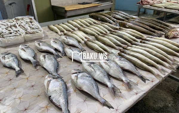 В Баку начала работу рыбная ярмарка