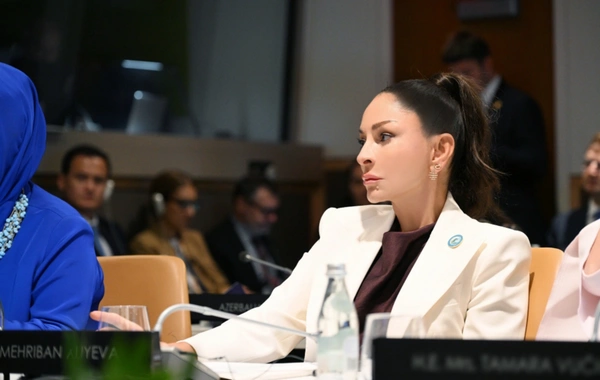Mehriban Aliyeva participated in a special session within the framework of the UN General Assembly