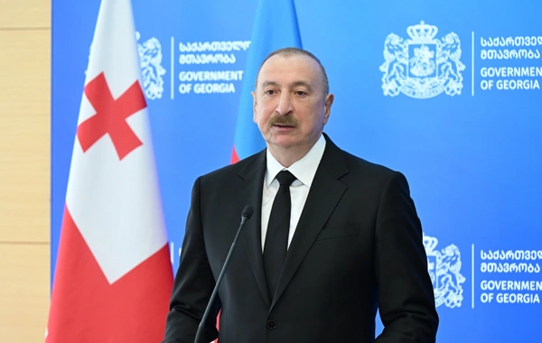 Azərbaycan Prezident və Gürcüstanın Baş naziri mətbuata bəyanatlarla çıxış ediblər